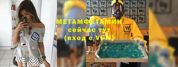 прущие грибы Каменка