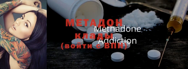 прущие грибы Каменка