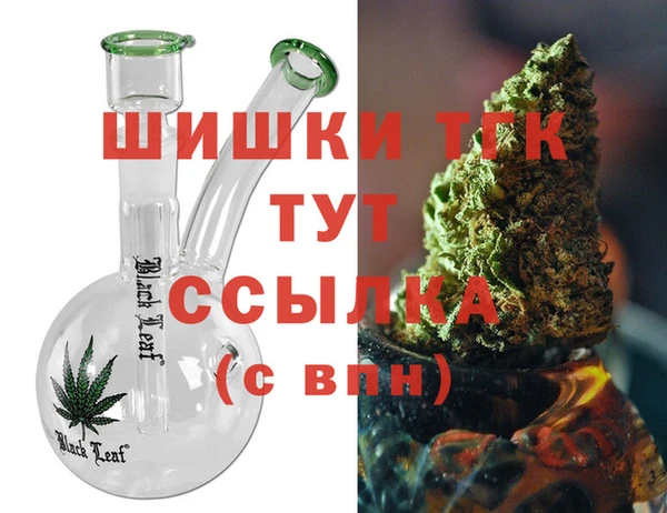 прущие грибы Каменка