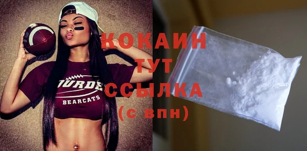 прущие грибы Каменка