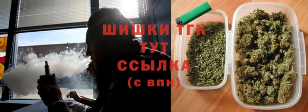прущие грибы Каменка