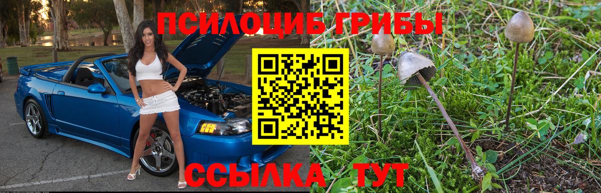 Котовск  Галлюциногенные грибы ЛСД  Вход с VPN  Псилоцибиновые грибы мицелий 